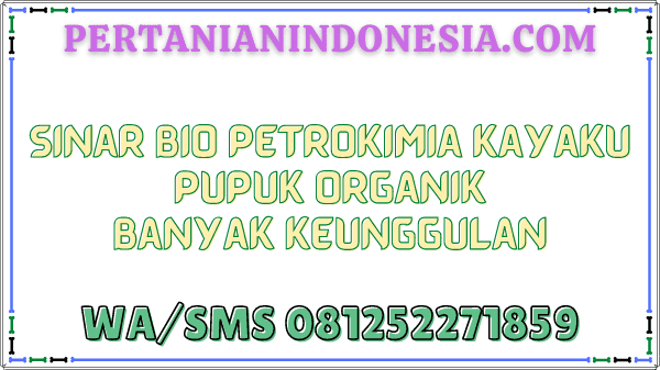 Sinar Bio Petrokimia Kayaku Pupuk Organik Banyak Keunggulan